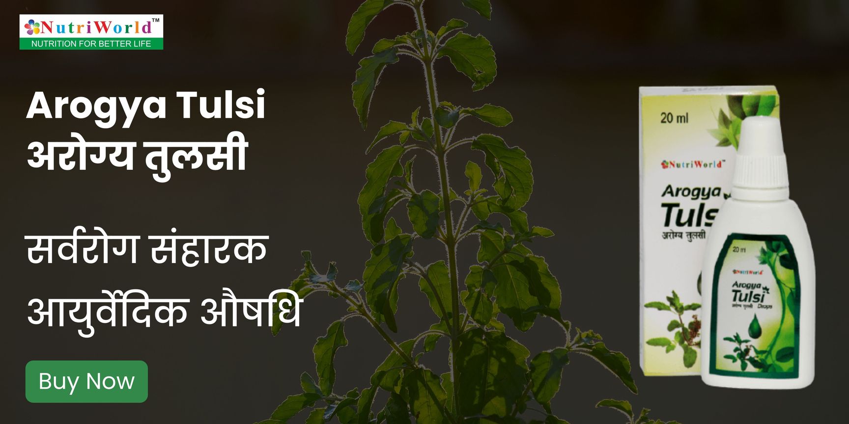 Arogya Tulsi