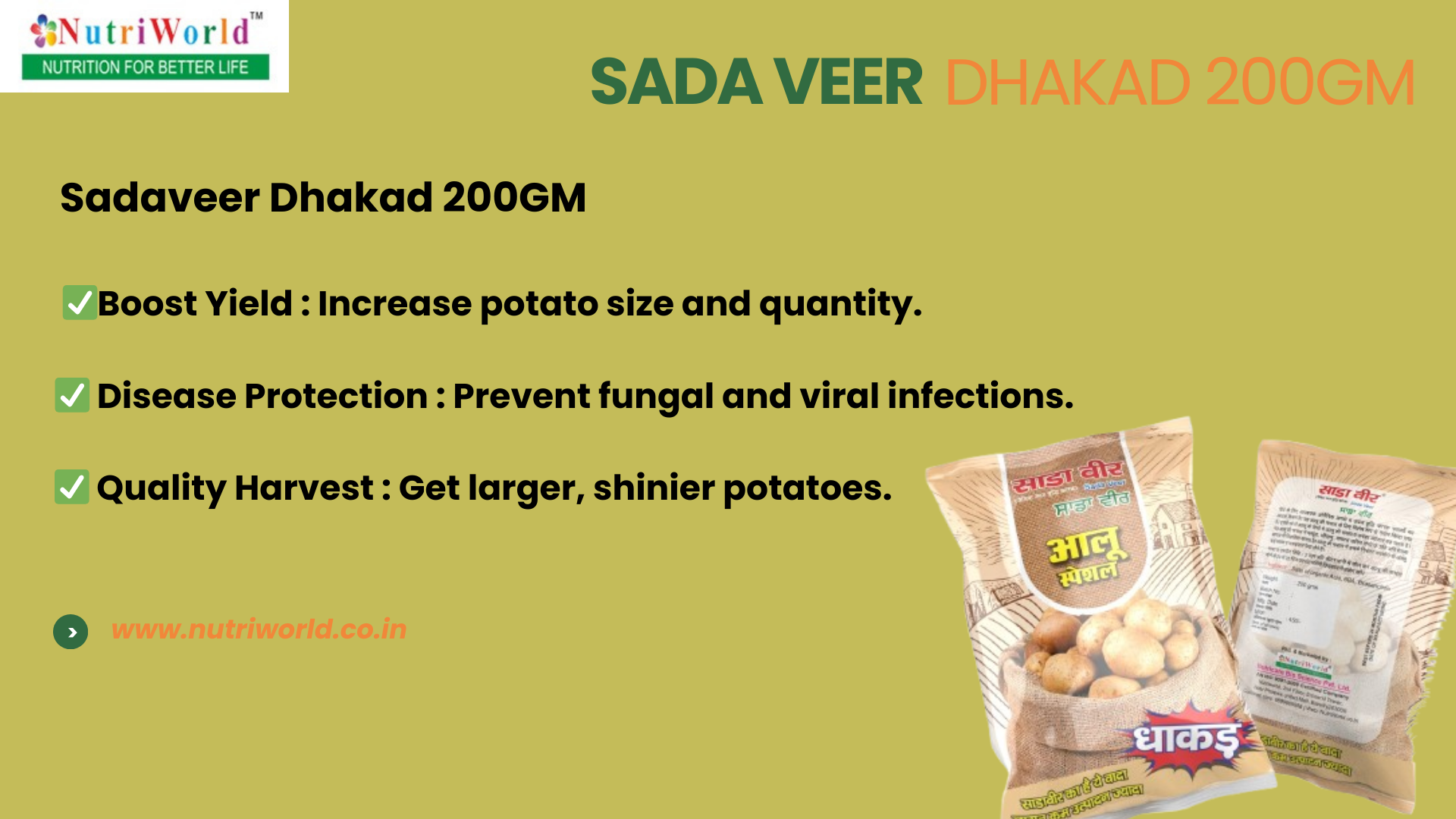 Sadaveer Dhakad 200GM 